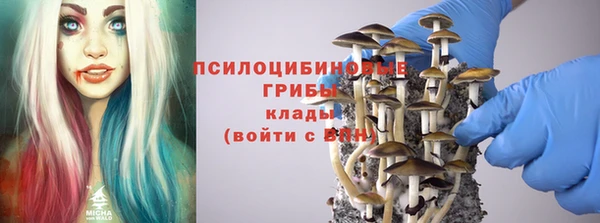крисы Бугульма