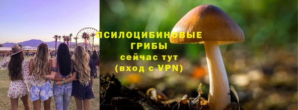 кристаллы Бородино
