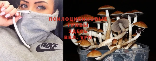крисы Бугульма
