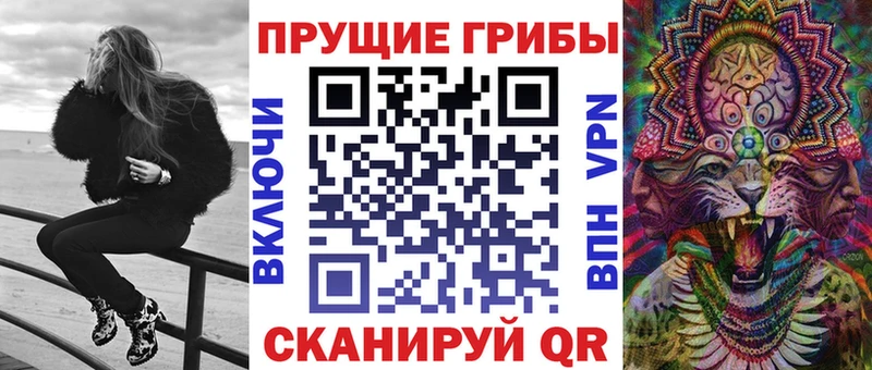 Галлюциногенные грибы Psilocybe  Купить где  Галич 